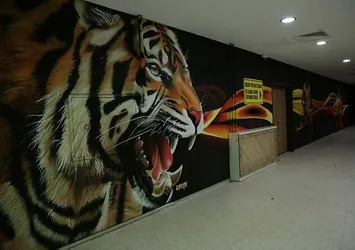 Yeni Malatya Stadı'nda grafiti çalışması