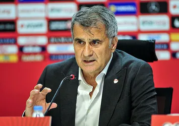 Şenol Güneş'in eseri