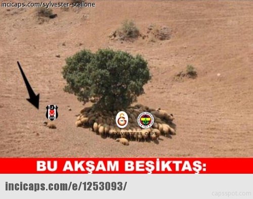 Galatasaray Eurocup’ta şampiyon oldu caps’ler patladı!