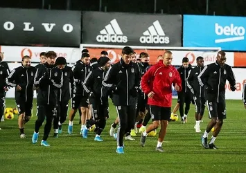 Kartal sahaya iniyor