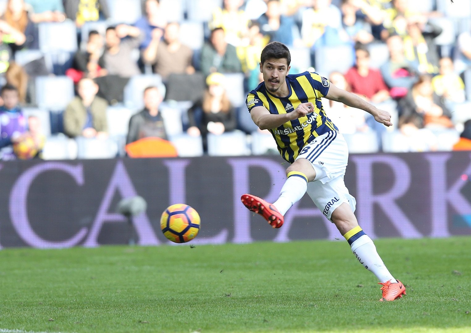 Fenerbahçe’nin kayıp prensi