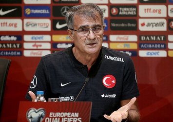 Şenol Güneş'in büyük Türkiye hayali