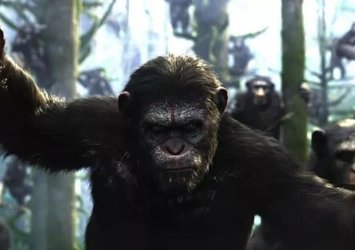 Maymunlar Cehennemi: Başlangıç filminin konusu nedir?