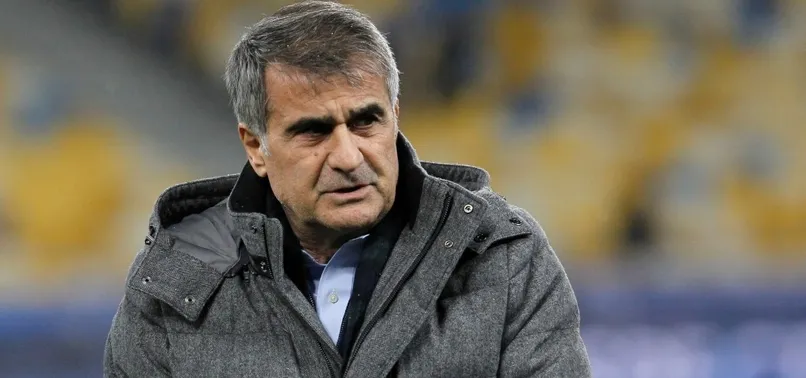 Şenol Güneş: Kabus gibi bir gece