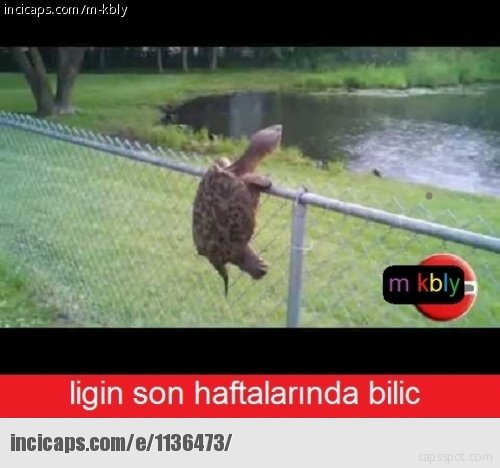 Beşiktaş havlu attı, caps’ler geldi