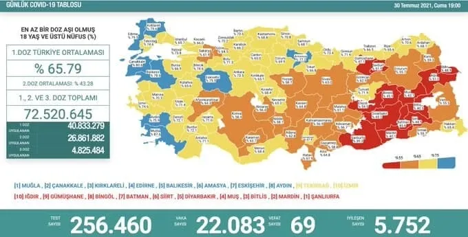 Son dakika haberi: Türkiye'de corona virüsü vakası sayısı kaç oldu? Sağlık Bakanı Fahrettin Koca açıkladı (Türkiye Günlük Koronavirüs Tablosu - 30 Temmuz) - 1