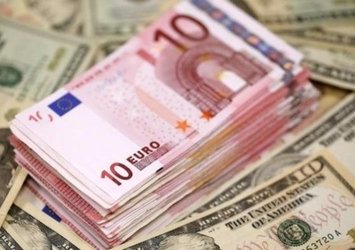 21 Ağustos 2020 Euro kaç lira?