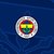 Fenerbahçe'de teknik direktör kararı!