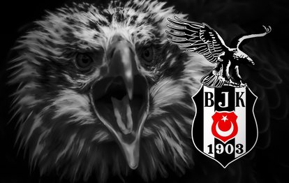 Beşiktaş’ın 65 sezonluk lig tarihindeki performansı