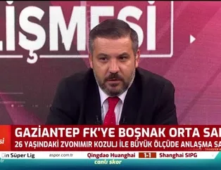 Gaziantep FK'ye Boşnak orta saha!