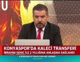 Konyaspor Ibrahim Sehic ile anlaştı
