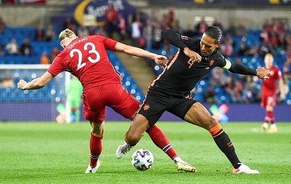 Norveç 1-1 Hollanda MAÇ SONUCU-ÖZET | Norveç ve Hollanda yenişemedi!