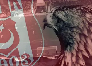 Beşiktaş'tan transfer yağmuru!
