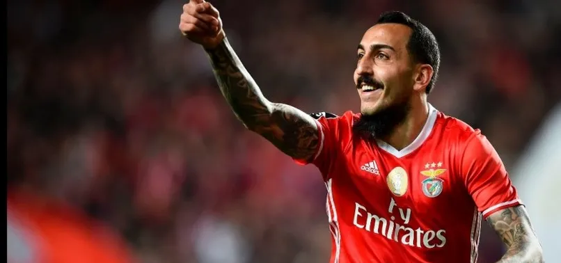 Mitroglou operasyonu