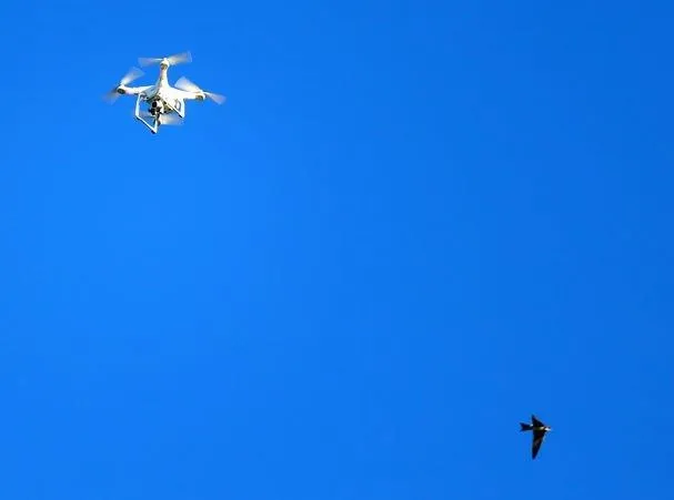 Aykut Kocaman antrenmanı Drone'la kaydettirdi - 1
