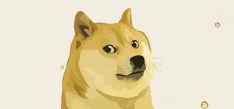 Elon Musk Dogecoin uyarısına Dogecoin topluluğundan yanıt! Elon Musk elon musk