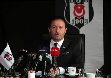 Tekinoktay: Orman kaçtı
