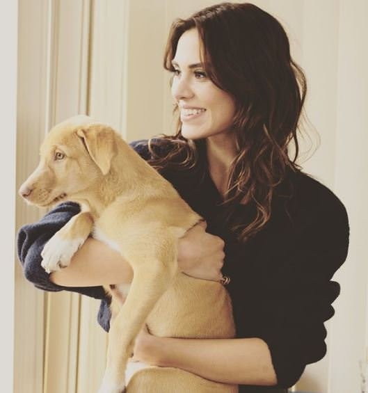 Spor Toto Süper Lig’in yengeleri