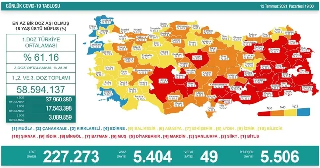Türkiye'de corona virüsü vakası sayısı kaç oldu? Sağlık Bakanı Fahrettin Koca açıkladı (Türkiye Günlük corona virüsü tablosu - 12 Temmuz) - 1