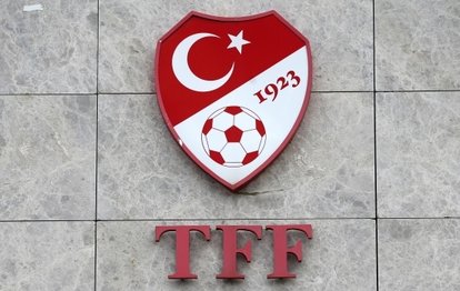 A Milli Futbol Takımımız Polonya ile karşılaşacak!