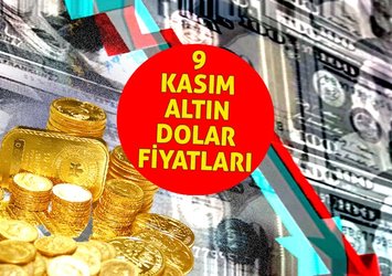 Euro, dolar, sterlin, gram, çeyrek, yarım altın kaç TL? (9 Kasım)