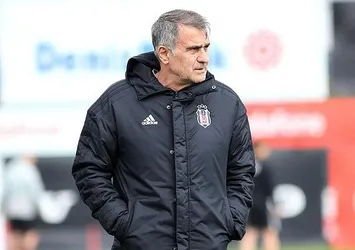Şenol Güneş: "Mücadeleyi bırakmak yok"