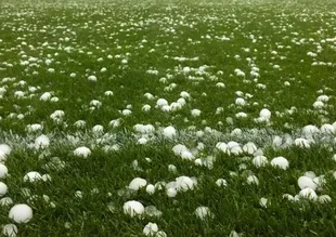 Kasımpaşa'ya dolu engeli