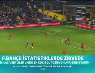Fenerbahçe istatistiklerde zirvede