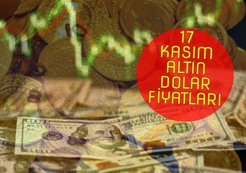 Euro, dolar, sterlin, gram, çeyrek, yarım altın kaç TL? (17 Kasım)