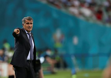 İşte Şenol Güneş'in Milli Takım serüveni!