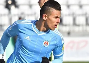 Sol kanada Moha