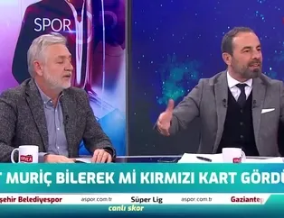 Erman Toroğlu: Vedat Muriç bilerek yapıyor!