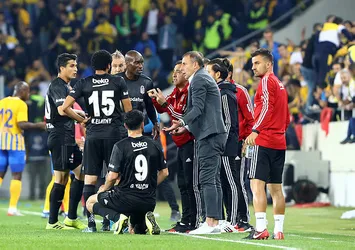Kanatlarda alternatif yok