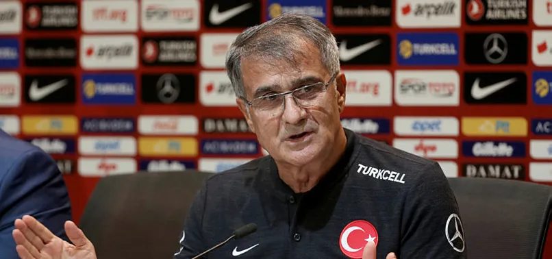 Şenol Güneş'ten Fatih Terim ve ceza yorumu