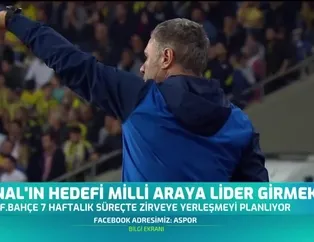 Yanal'ın hedefi milli araya lider girmek