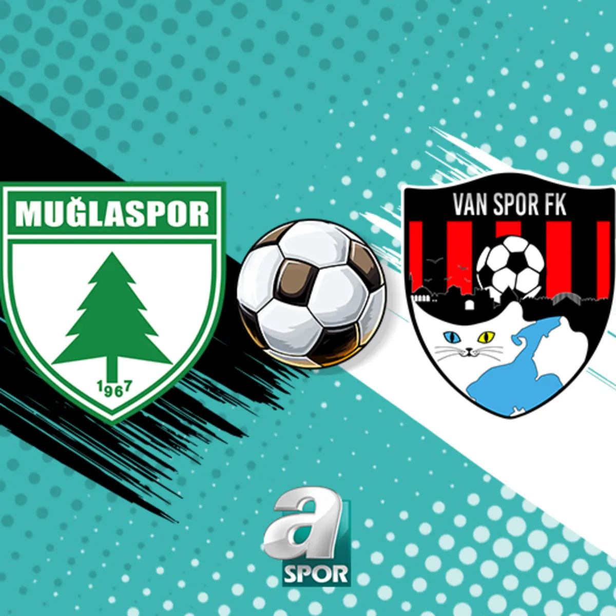 Muğlaspor-Vanspor FK maçı saat kaçta, hangi kanalda?