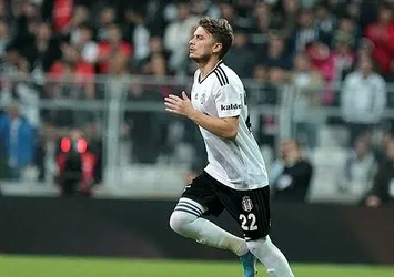 Ljajic'e vize yok