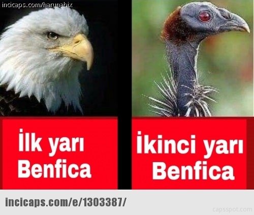Beşiktaş-Benfica maçı capsleri