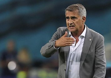 Şenol Güneş: Katar'da olmak istiyoruz
