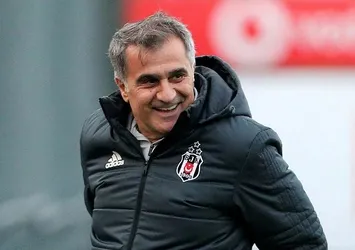 Şenol Güneş dört köşe