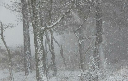 Fenerbahçe Konyaspor maçı ertelenecek mi?