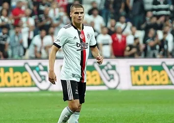 Bozdoğan umutlu
