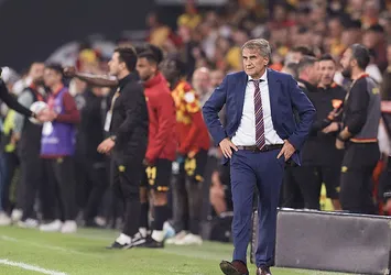 Şenol Güneş: Özür diliyorum!