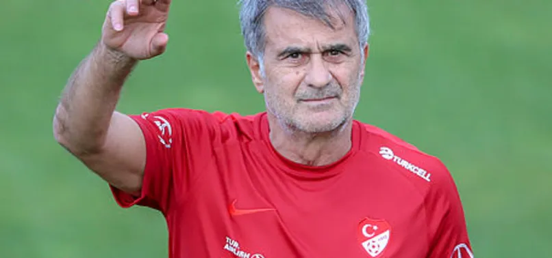 Şenol Güneş: Tek renk olalım