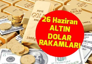 💲1 DOLAR NE KADAR?