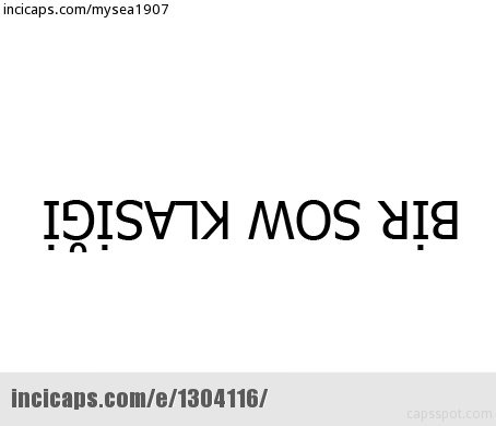 2016 yılının en çok güldüren capsleri