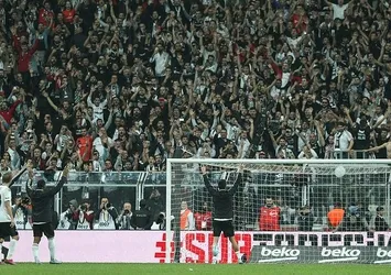 Görsel şölen