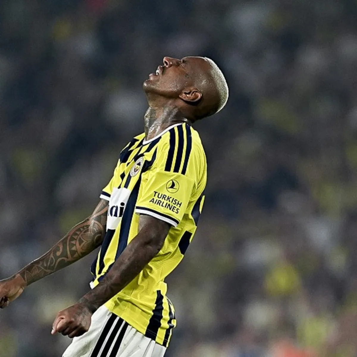 Fenerbahçe Samsunspor Maçı Kamp Kadrosunu Duyurdu! Talisca Yer Almıyor