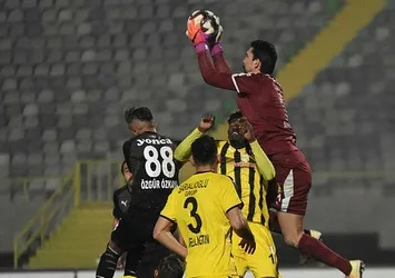 Altay ağır deli
