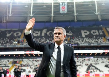 Beşiktaş'ta teknik direktör arayışı!